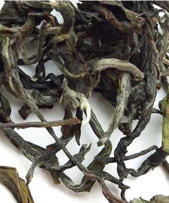 Lydia Gautier – Darjeeling Rohini Tea Estate