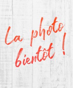 1/2 PLATEAU FILET DE BAR FROID SAUCE TARTARE